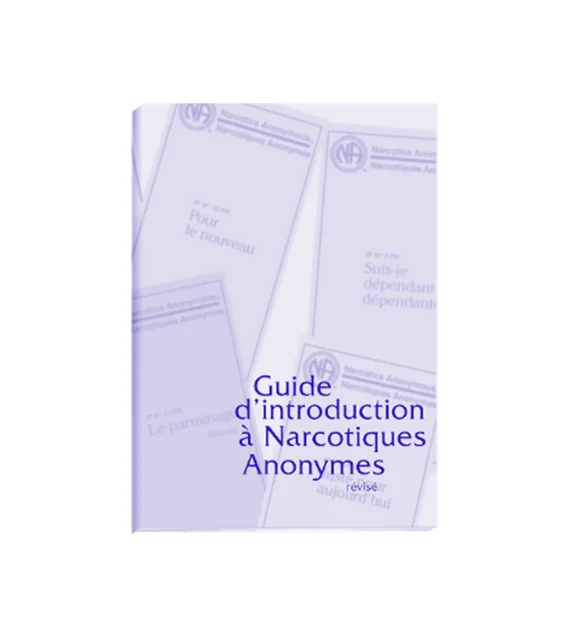 Guide d'introduction à NA